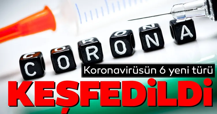 Corona virüsün 6 yeni türü keşfedildi