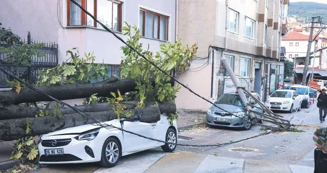 Lodos devirdi – Yaşam Haberleri Lodos devirdi – Yaşam Haberleri