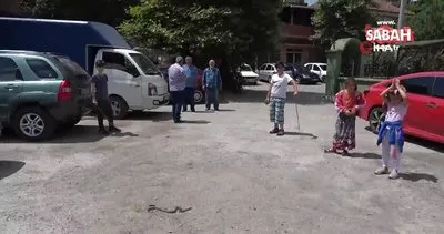 Mahalle arasında ortaya çıkan 3 metrelik su yılanı dereye bırakıldı