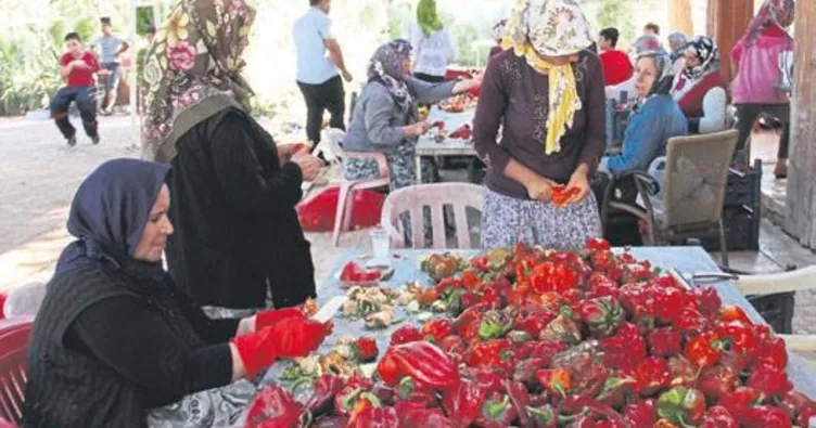 Gastronomi şehrinde acı telaş başladı