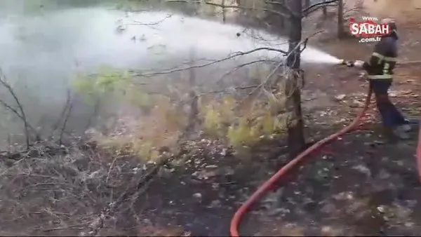 Şanlıurfa'da orman yangını çıktı