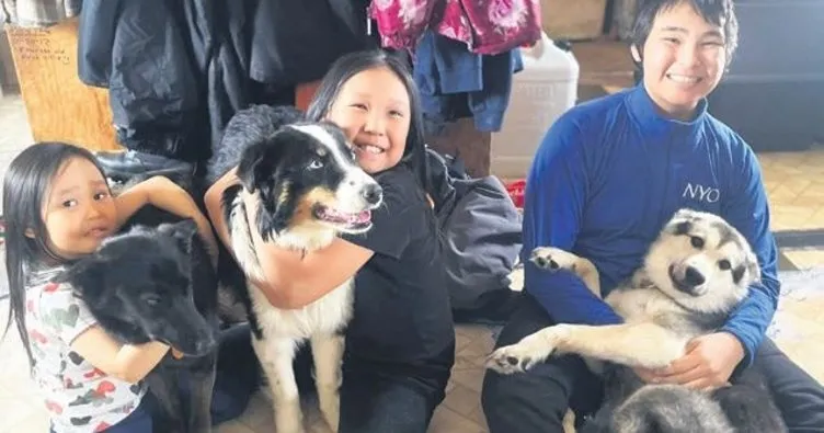 Kayıp köpek Nanuq Bering Denizi’ni aştı