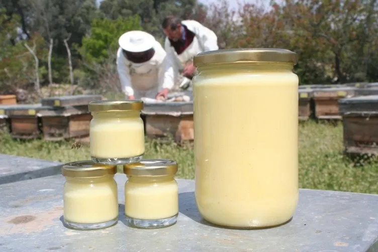Korona salgısı sonrası arı sütüne talep arttı! Kilosu 16 bin TL