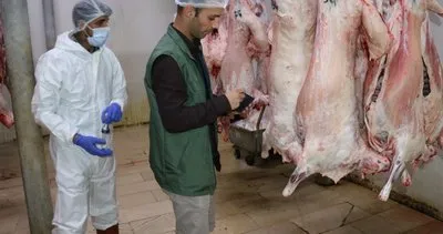 Erzincan’da Bayram öncesi mezbaha denetimi yapıldı #erzincan