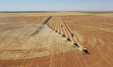 Tarım sayım seferberliğine yoğun ilgi