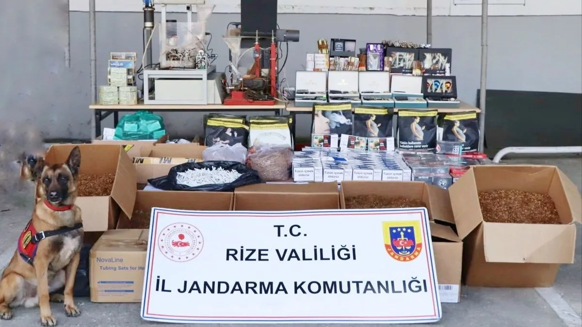 Jandarmadan kaçak sigara operasyonu!