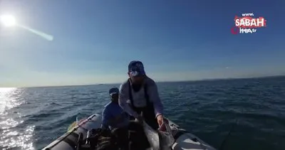 Amatör balıkçının yüzü oltasına takılan 8 buçuk kiloluk balıkla güldü | Video