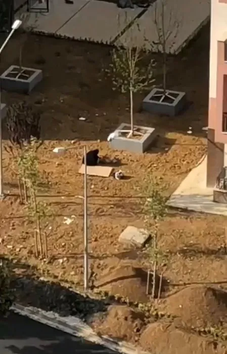 İnşaata giren karı koca öyle bir şey yaptı ki: Olayı gören bekçi durumu polise bildirdi!