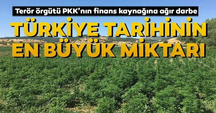 Terör örgütü PKK’nın finans kaynağına ağır darbe... Türkiye tarihinin en büyük miktarı