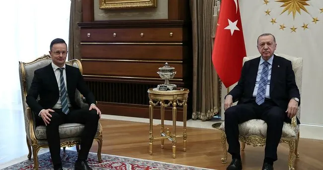 Cumhurbaşkanı Erdoğan, Macaristan Dışişleri Bakanını kabul etti