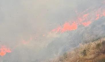 Osmaniye’deki orman yangınında 90 dönümlük alan zarar gördü