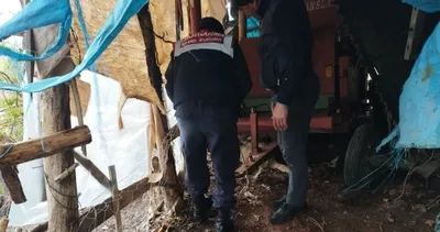 Hayvana şiddet uygulayan şüpheliye adli işlem uygulandı