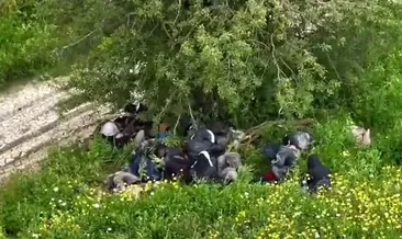 Hatay’da 42 düzensiz göçmen yakalandı