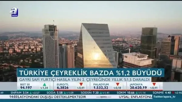 Türkiye çeyreklik bazda 1,2 büyüdü