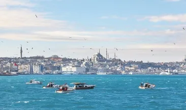 İstanbul Bienali şehre yayılıyor