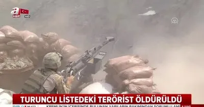 Turuncu kategorideki terörist, asker ve sivil katili çıktı