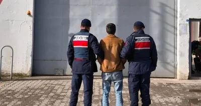 Yasadışı kenevir ekimine 14 yıl hapis!