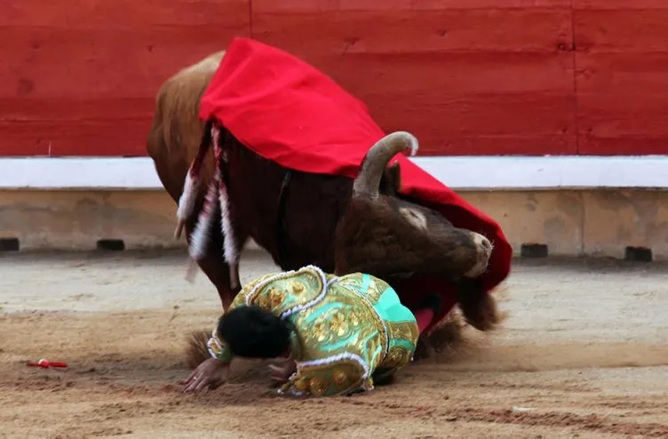 Boğa matadoru rezil etti
