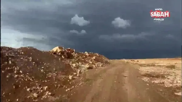 PKK/YPG Şehba mıntıkasından temizlenecek! Terör koridoru son bulacak | Video