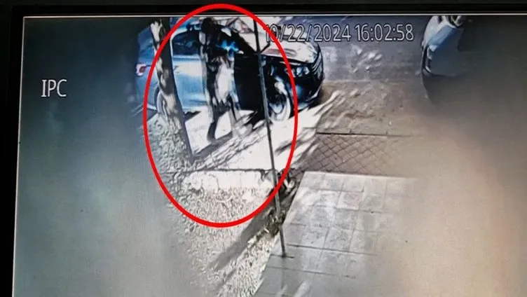 SON DAKİKA… Diyarbakır’da Evin Demirtaş sokakta öldürüldü! Cinayet anı kamerada!