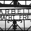 İlk toplama kampı açıldı