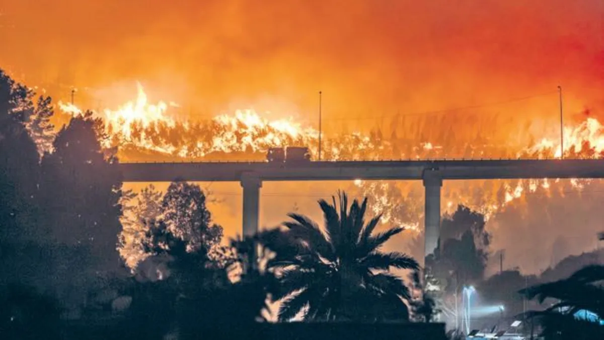 Şili’de orman yangını 18 can kaybı