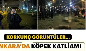 Ankara Batıkent’te vahşet! Ankara’da köpekler zehirlenerek öldürüldü