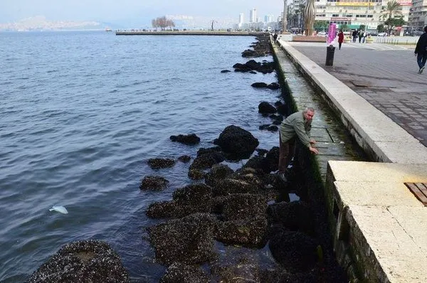 İzmir'de korkutan çekilme