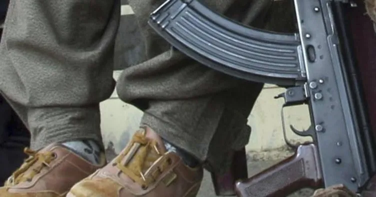Siirt’te 2 PKK’lı terörist etkisiz hale getirildi