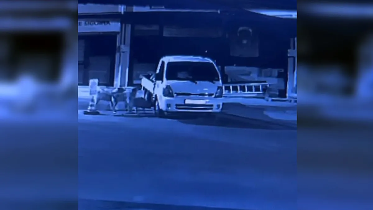 Kastamonu’da sokak köpekleri bir aracı parçaladı: Tam 200 bin liralık hasar! Kastamonu’da sokak köpekleri bir aracı parçaladı: Tam 200 bin liralık hasar!