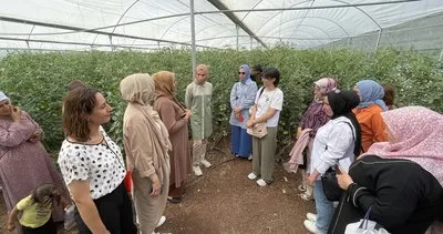 Siverek’te girişimci kadınlara gıda ve tarım teknik eğitimleri verildi