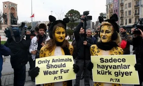 Yarı çıplak PETA’cılara yoğun ilgi