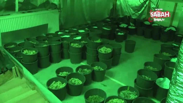 Esenyurt’ta uyuşturucu serasına çevrilen eve operasyon: 15 kilogram esrar ele geçirildi | Video