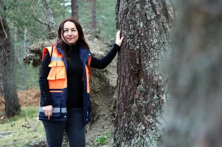 Türkiye’nin en değerli ormanları kadın müdüre emanet