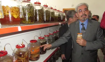 Kimya mühendisi onunla Guinness Rekorlar Kitabı’na girdi