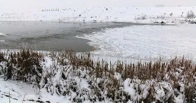 Muş’ta nehir, dere ve göletler buz tuttu