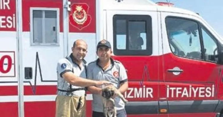 Betona sıkışan köpek kurtarıldı