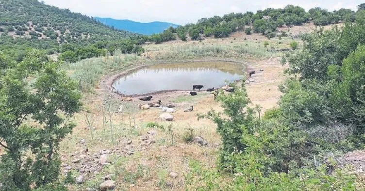 Büyükşehir’den 10 yeni hayvan içme suyu göleti
