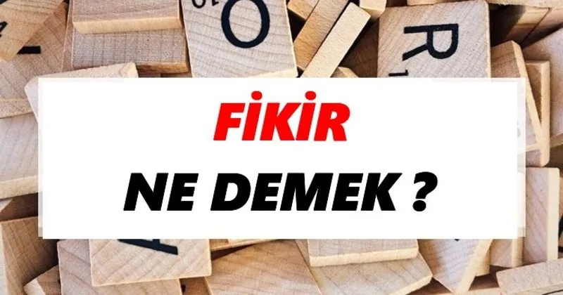 Fikir Anlamı Nedir