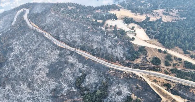 Yanan orman için 100 yıl gerekiyor