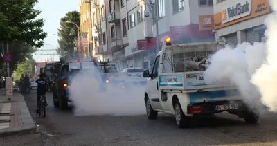 Viranşehir Belediyesinden haşerelere karşı ilaçlama seferberliği