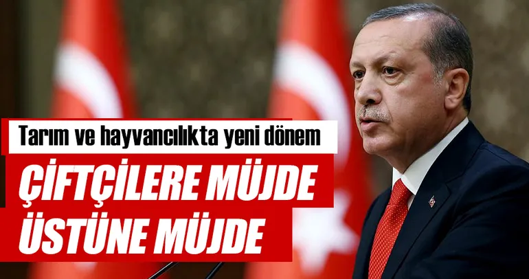 Mazotun yarısı devletten