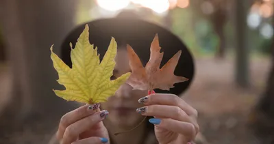 Eylül ayı sözleri 2023: En güzel, anlamlı, resimli kısa, uzun seçenekleriyle Hoş geldin Eylül mesajları ve sözleri
