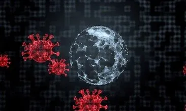 Mutasyonlu virüs hangi illerde var? İşte mutasyonlu virüsün görüldüğü iller