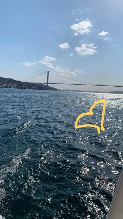 Ünlü oyuncu Sinem Kobal kızı Lalin’in yüzünü ilk kez gösterdi! İşte Sinem Kobal'ın yeni paylaşımı