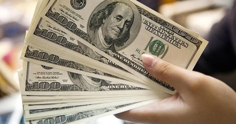 Bakan Tüfenkci’den dolar açıklaması
