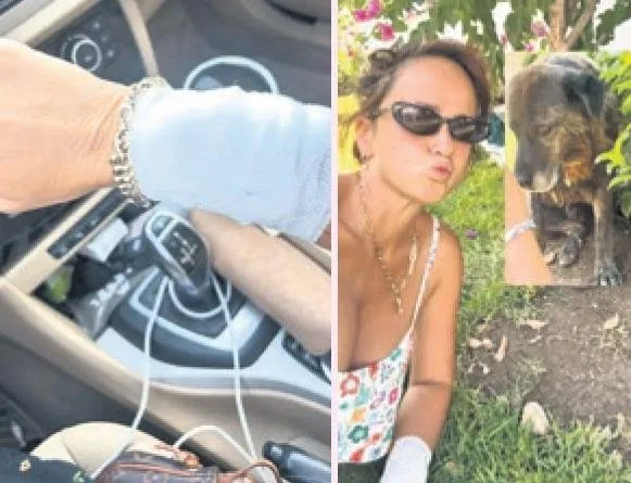 Köpeğini kurtarmak için canını siper etti! Ünlü oyuncu İlkin Tüfekçi hastanelik oldu