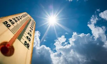 Dünyanın en sıcak ikinci noktası: Termometreler 50,3 dereceyi gösterdi