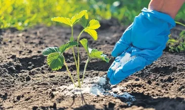 Savaş gıda krizini tetikler mi?