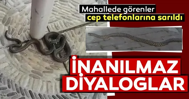 sultangazi de kent ormani na yakin iki